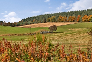 Autumn colours